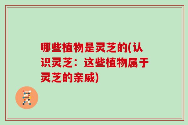 哪些植物是灵芝的(认识灵芝:这些植物属于灵芝的亲戚) 哪些植物是灵芝的(认识灵芝:这些植物属于灵芝的亲戚)