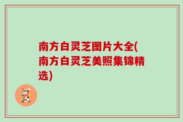 南方白灵芝图片大全(南方白灵芝美照集锦精选) 南方白灵芝图片大全(南方白灵芝美照集锦精选)