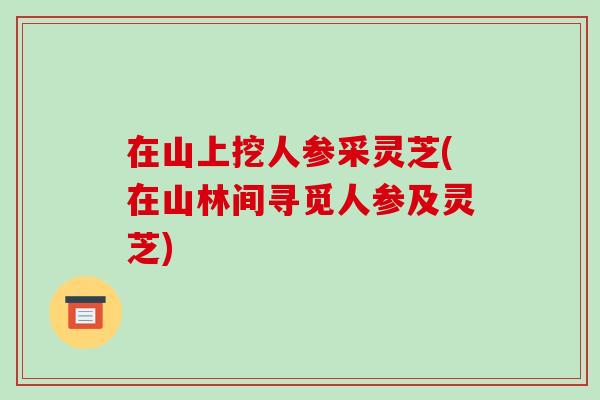 在山上挖人参采灵芝(在山林间寻觅人参及灵芝)