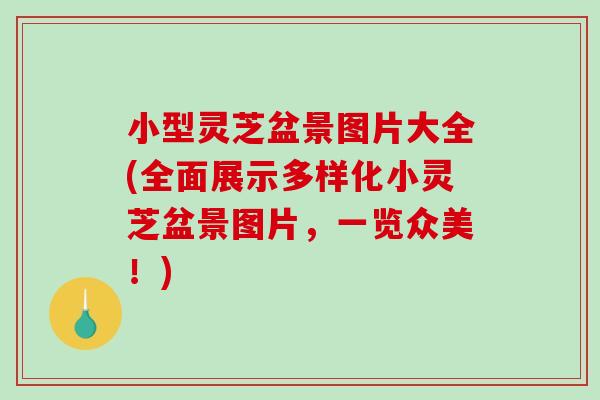 小型灵芝盆景图片大全(全面展示多样化小灵芝盆景图片，一览众美！)