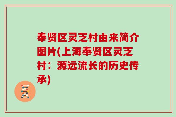 奉贤区灵芝村由来简介图片(上海奉贤区灵芝村：源远流长的历史传承)