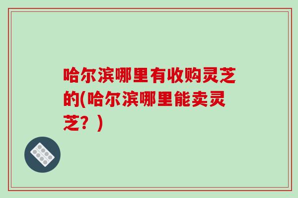哈尔滨哪里有收购灵芝的(哈尔滨哪里能卖灵芝？)