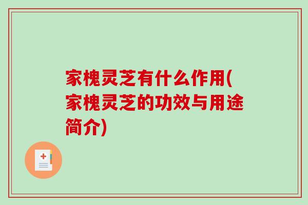 家槐灵芝有什么作用(家槐灵芝的功效与用途简介)