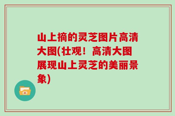 山上摘的灵芝图片高清大图(壮观！高清大图展现山上灵芝的美丽景象)