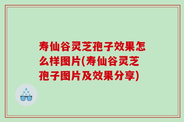 寿仙谷灵芝孢子效果怎么样图片(寿仙谷灵芝孢子图片及效果分享)