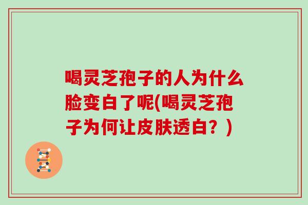 喝灵芝孢子的人为什么脸变白了呢(喝灵芝孢子为何让透白？)