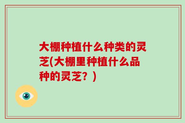 大棚种植什么种类的灵芝(大棚里种植什么品种的灵芝？)