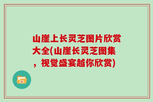山崖上长灵芝图片欣赏大全(山崖长灵芝图集，视觉盛宴越你欣赏)