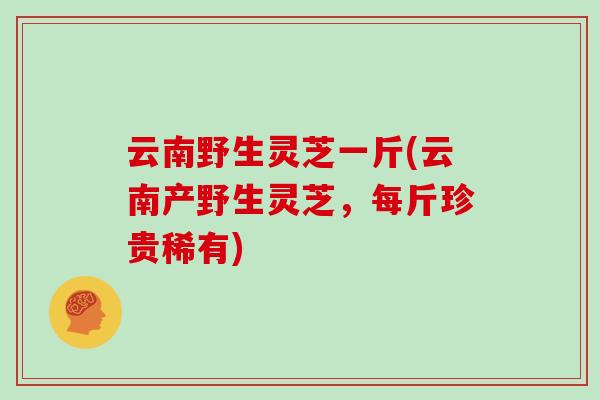 云南野生灵芝一斤(云南产野生灵芝，每斤珍贵稀有)