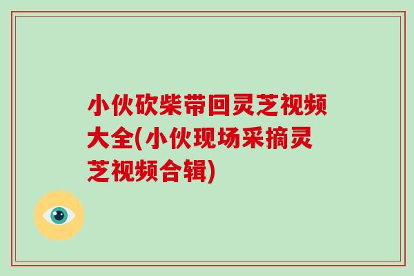 小伙砍柴带回灵芝视频大全(小伙现场采摘灵芝视频合辑) 小伙砍柴带回灵芝视频大全(小伙现场采摘灵芝视频合辑)