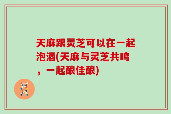 天麻跟灵芝可以在一起泡酒(天麻与灵芝共鸣,一起酿佳酿) 天麻跟灵芝可以在一起泡酒(天麻与灵芝共鸣,一起酿佳酿)