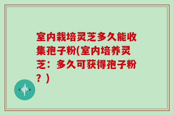 室内栽培灵芝多久能收集孢子粉(室内培养灵芝:多久可获得孢子粉?) 室内栽培灵芝多久能收集孢子粉(室内培养灵芝:多久可获得孢子粉?)