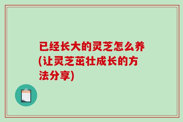 已经长大的灵芝怎么养(让灵芝茁壮成长的方法分享) 已经长大的灵芝怎么养(让灵芝茁壮成长的方法分享)