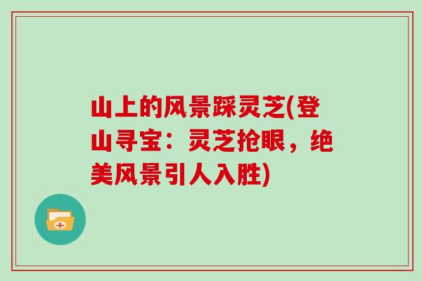 山上的风景踩灵芝(登山寻宝：灵芝抢眼，绝美风景引人入胜)