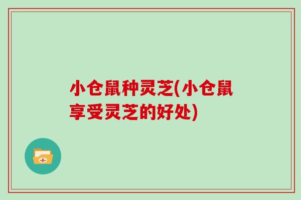 小仓鼠种灵芝(小仓鼠享受灵芝的好处)