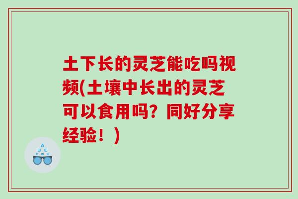 土下长的灵芝能吃吗视频(土壤中长出的灵芝可以食用吗?同好分享经验!) 土下长的灵芝能吃吗视频(土壤中长出的灵芝可以食用吗?同好分享经验!)