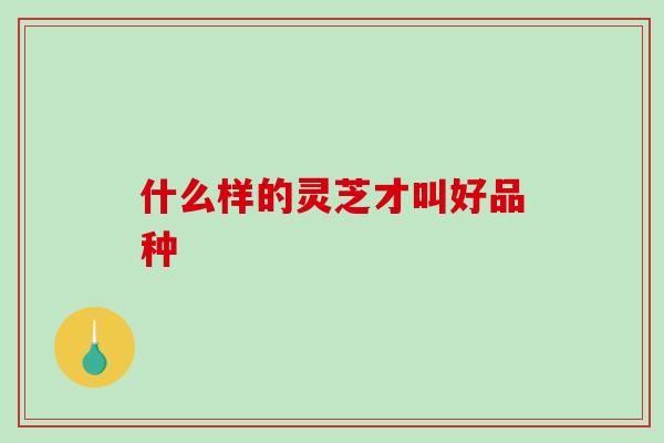 什么样的灵芝才叫好品种