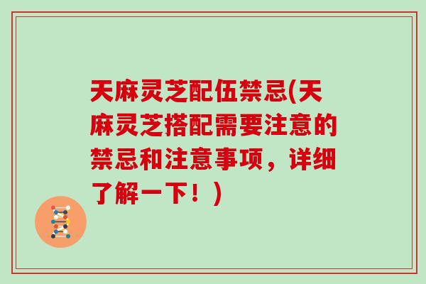 天麻灵芝配伍禁忌(天麻灵芝搭配需要注意的禁忌和注意事项,详细了解一下!) 天麻灵芝配伍禁忌(天麻灵芝搭配需要注意的禁忌和注意事项,详细了解一下!)