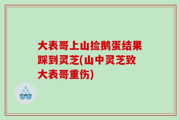 大表哥上山捡鹅蛋结果踩到灵芝(山中灵芝致大表哥重伤)