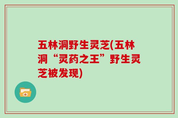 五林洞野生灵芝(五林洞“灵药之王”野生灵芝被发现) 五林洞野生灵芝(五林洞“灵药之王”野生灵芝被发现)