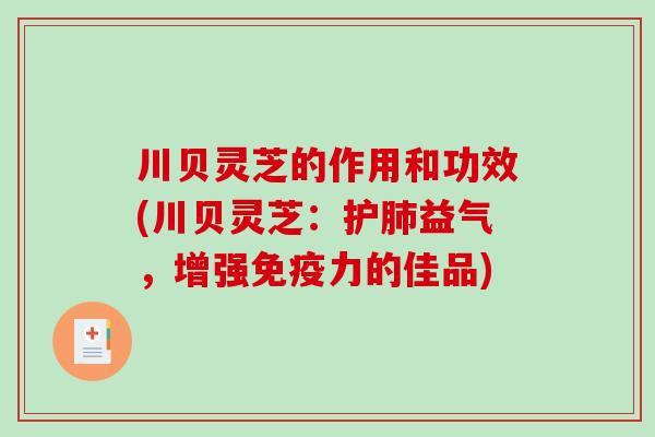 川贝灵芝的作用和功效(川贝灵芝：护益气，增强免疫力的佳品)