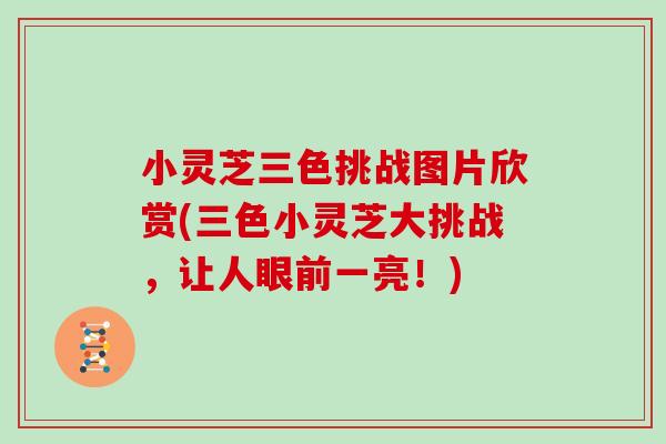 小灵芝三色挑战图片欣赏(三色小灵芝大挑战,让人眼前一亮!) 小灵芝三色挑战图片欣赏(三色小灵芝大挑战,让人眼前一亮!)
