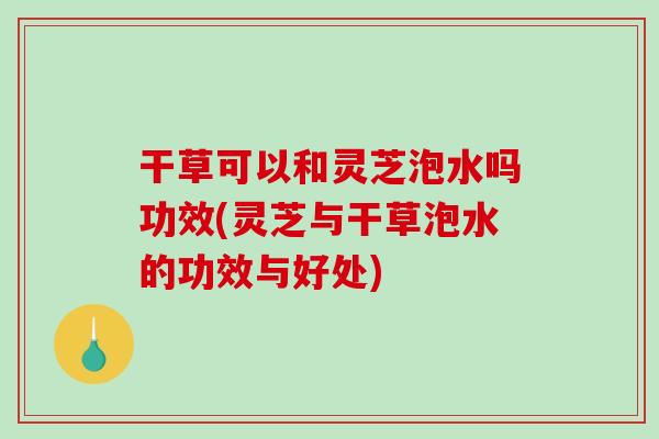 干草可以和灵芝泡水吗功效(灵芝与干草泡水的功效与好处) 干草可以和灵芝泡水吗功效(灵芝与干草泡水的功效与好处)