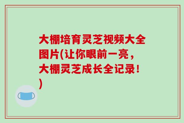 大棚培育灵芝视频大全图片(让你眼前一亮，大棚灵芝成长全记录！)