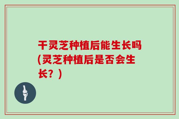干灵芝种植后能生长吗(灵芝种植后是否会生长?) 干灵芝种植后能生长吗(灵芝种植后是否会生长?)