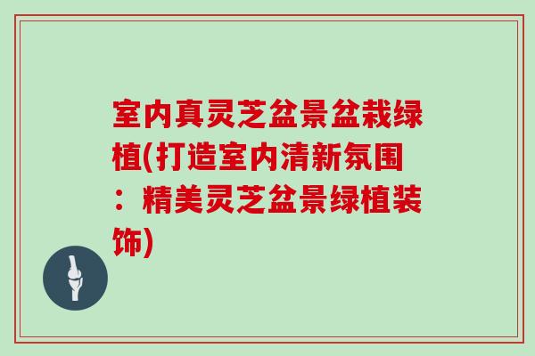 室内真灵芝盆景盆栽绿植(打造室内清新氛围：精美灵芝盆景绿植装饰)