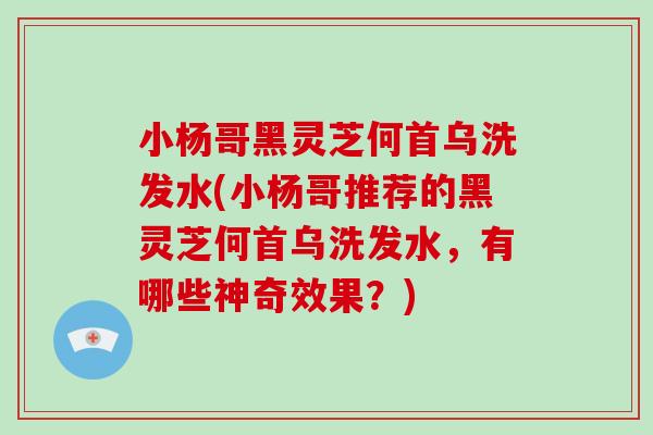 小杨哥黑灵芝何首乌洗发水(小杨哥推荐的黑灵芝何首乌洗发水,有哪些神奇效果?) 小杨哥黑灵芝何首乌洗发水(小杨哥推荐的黑灵芝何首乌洗发水,有哪些神奇效果?)