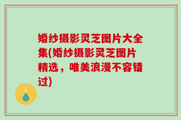 婚纱摄影灵芝图片大全集(婚纱摄影灵芝图片精选，唯美浪漫不容错过)