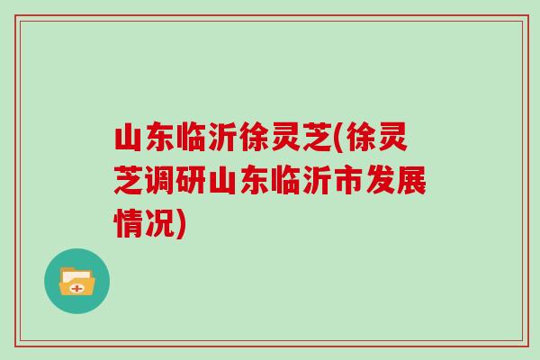 山东临沂徐灵芝(徐灵芝调研山东临沂市发展情况)