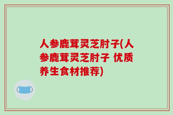 人参鹿茸灵芝肘子(人参鹿茸灵芝肘子 优质养生食材推荐)