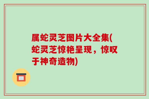 属蛇灵芝图片大全集(蛇灵芝惊艳呈现，惊叹于神奇造物)