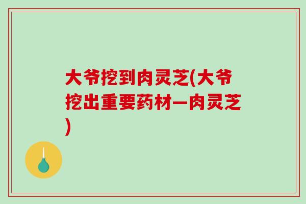 大爷挖到肉灵芝(大爷挖出重要药材—肉灵芝) 大爷挖到肉灵芝(大爷挖出重要药材—肉灵芝)