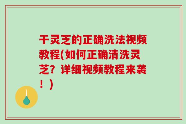 干灵芝的正确洗法视频教程(如何正确清洗灵芝？详细视频教程来袭！)