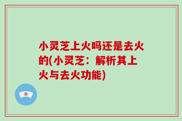 小灵芝上火吗还是去火的(小灵芝：解析其上火与去火功能)