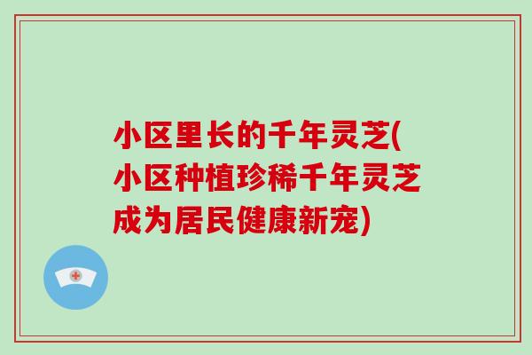 小区里长的千年灵芝(小区种植珍稀千年灵芝成为居民健康新宠)