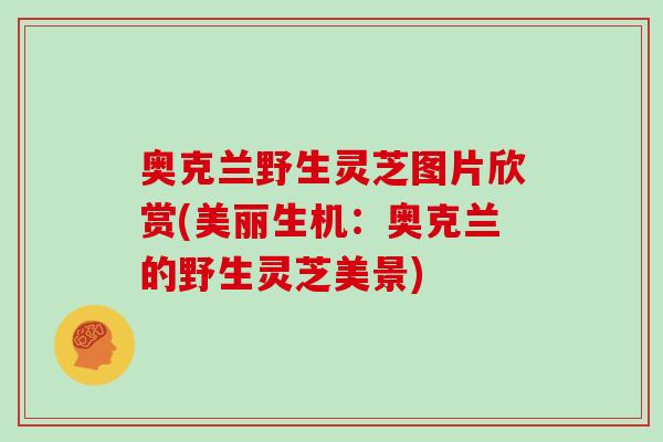 奥克兰野生灵芝图片欣赏(美丽生机:奥克兰的野生灵芝美景) 奥克兰野生灵芝图片欣赏(美丽生机:奥克兰的野生灵芝美景)