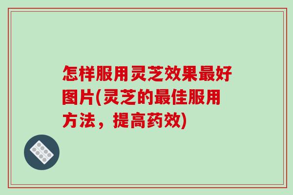 怎样服用灵芝效果好图片(灵芝的佳服用方法,提高) 怎样服用灵芝效果好图片(灵芝的佳服用方法,提高)