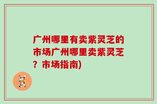 广州哪里有卖紫灵芝的市场广州哪里卖紫灵芝？市场指南)