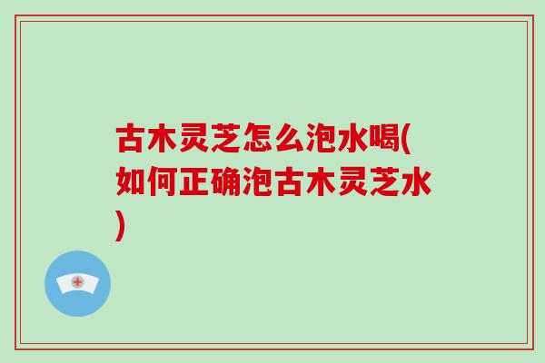 古木灵芝怎么泡水喝(如何正确泡古木灵芝水)