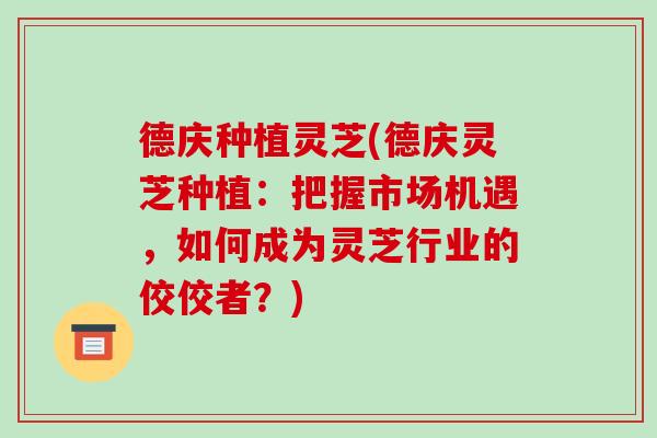 德庆种植灵芝(德庆灵芝种植：把握市场机遇，如何成为灵芝行业的佼佼者？)