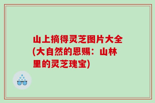 山上摘得灵芝图片大全(大自然的恩赐:山林里的灵芝瑰宝) 山上摘得灵芝图片大全(大自然的恩赐:山林里的灵芝瑰宝)