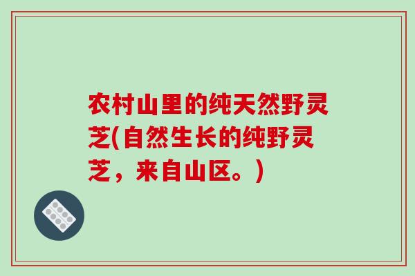 农村山里的纯天然野灵芝(自然生长的纯野灵芝,来自山区。) 农村山里的纯天然野灵芝(自然生长的纯野灵芝,来自山区。)