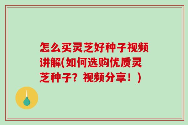 怎么买灵芝好种子视频讲解(如何选购优质灵芝种子?视频分享!) 怎么买灵芝好种子视频讲解(如何选购优质灵芝种子?视频分享!)