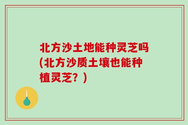 北方沙土地能种灵芝吗(北方沙质土壤也能种植灵芝？)