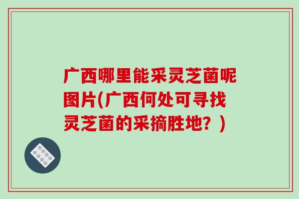 广西哪里能采灵芝菌呢图片(广西何处可寻找灵芝菌的采摘胜地?) 广西哪里能采灵芝菌呢图片(广西何处可寻找灵芝菌的采摘胜地?)
