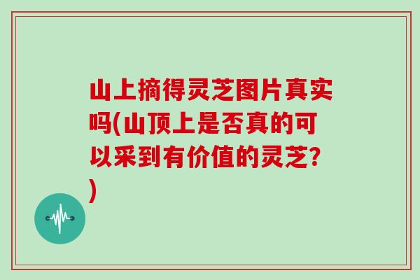 山上摘得灵芝图片真实吗(山顶上是否真的可以采到有价值的灵芝？)
